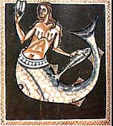 Sirena-pesce in un Bestiario medievale
