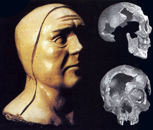 Gesso ricostruttivo del presunto volto di Giotto (2000)