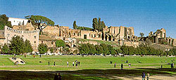 Roma: il Palatino (con la "Domus Augustana") visto dal Circo Massimo