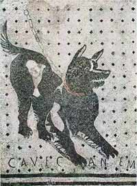 Mosaico con "cave canem", dalla Villa del poeta tragico a Pompei (ora Napoli, Museo Archeologico Nazionale)