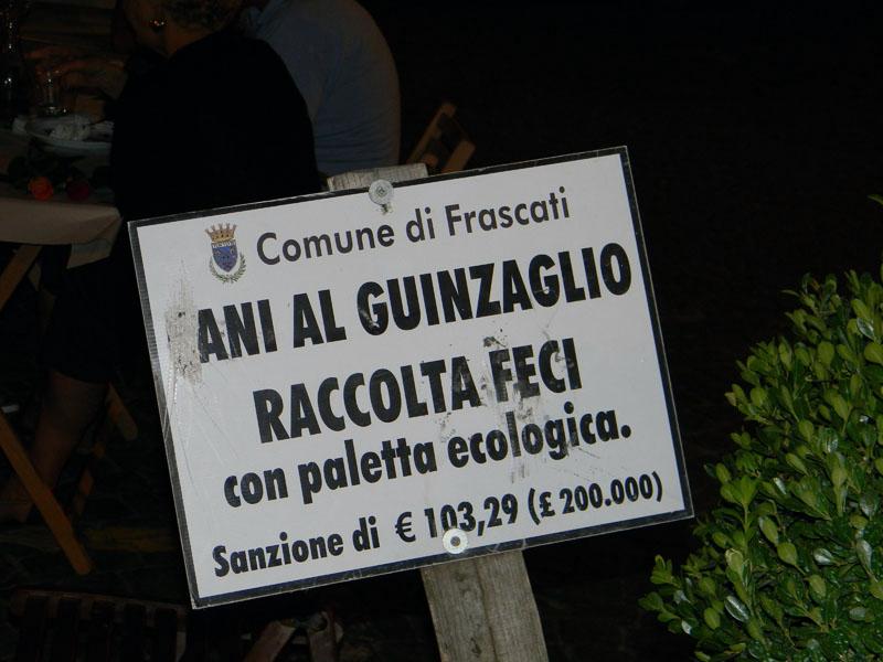 a33.JPG