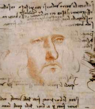 Codice del volo degli uccelli: autoritratto di Leonardo?